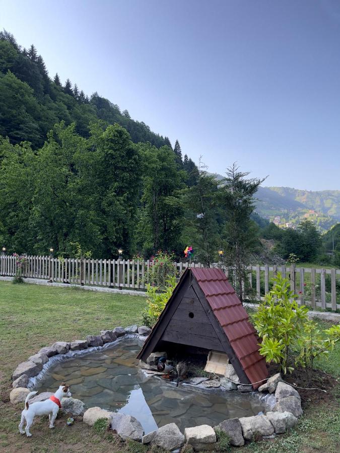 Dream River Exclusive Bungalow Rize Eksteriør billede
